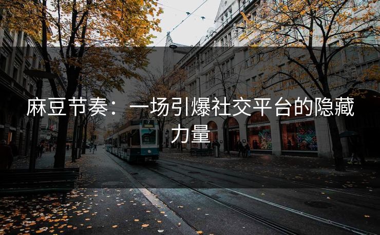 麻豆节奏：一场引爆社交平台的隐藏力量